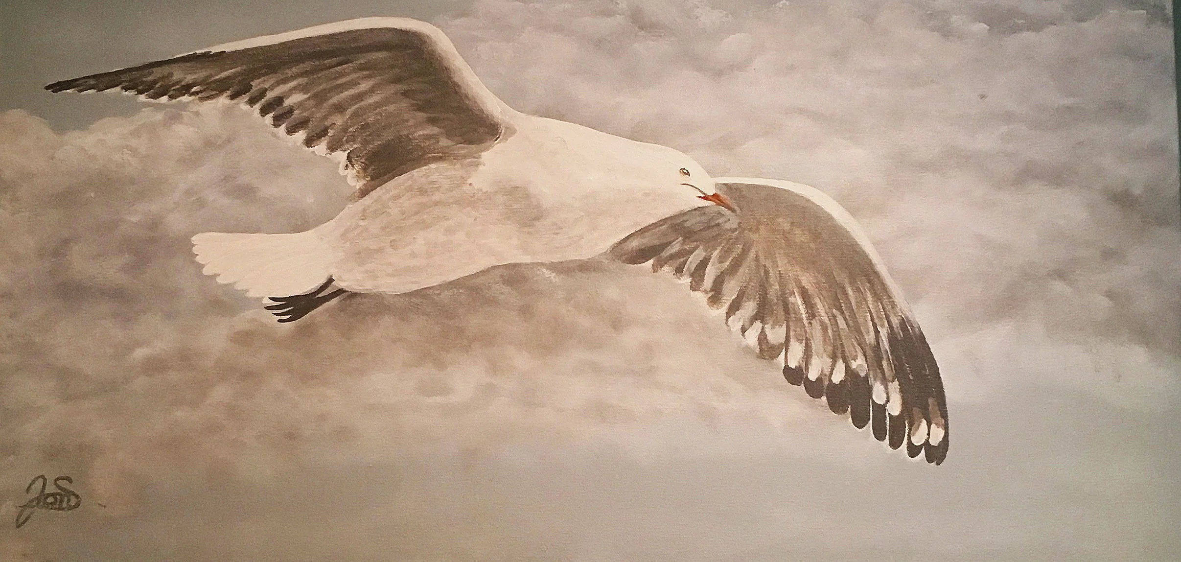 Soaring Seagull