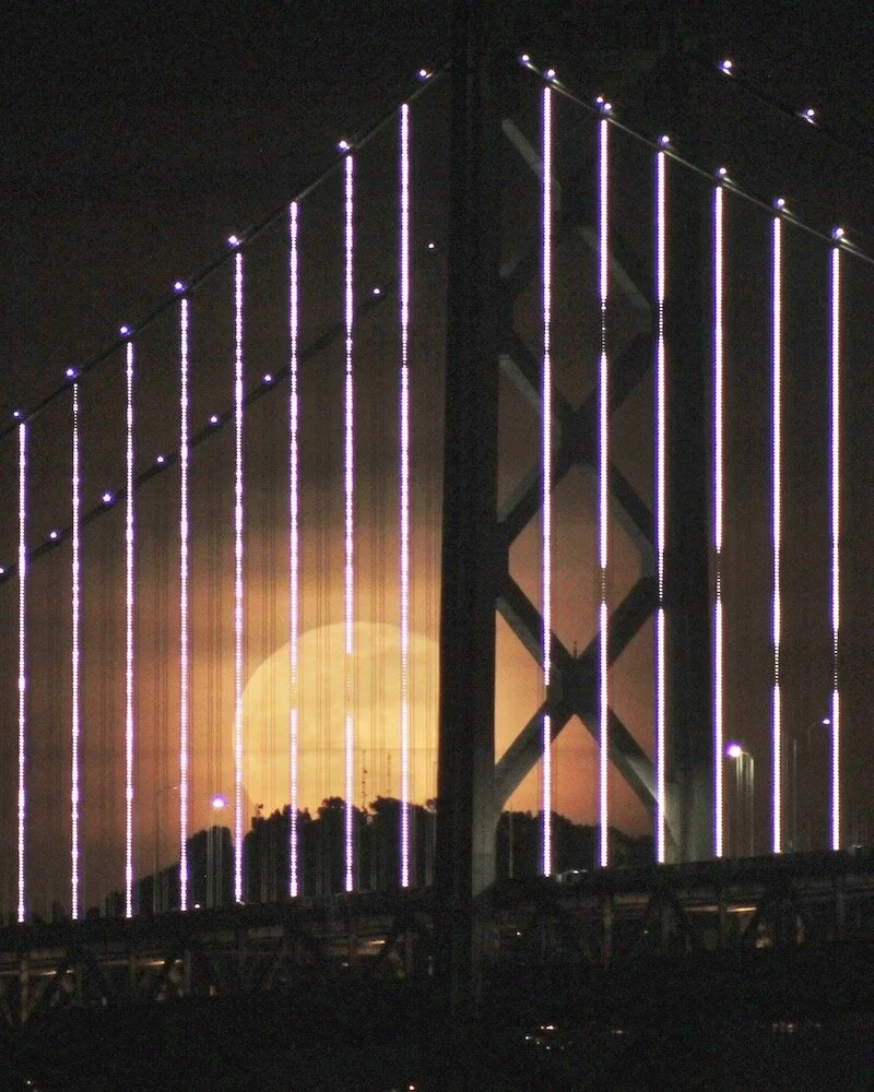 Bartlett-By the Light00016.JPG