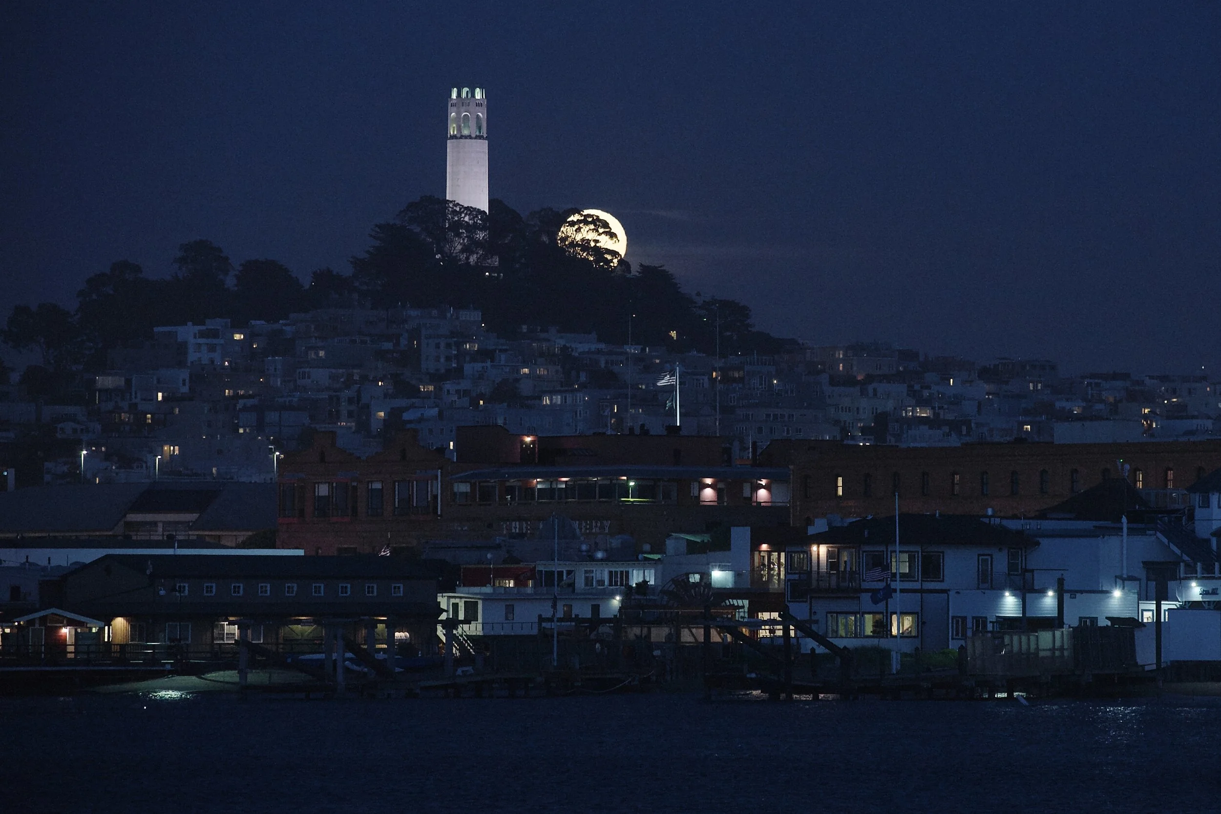 She Rise by Coit Tower