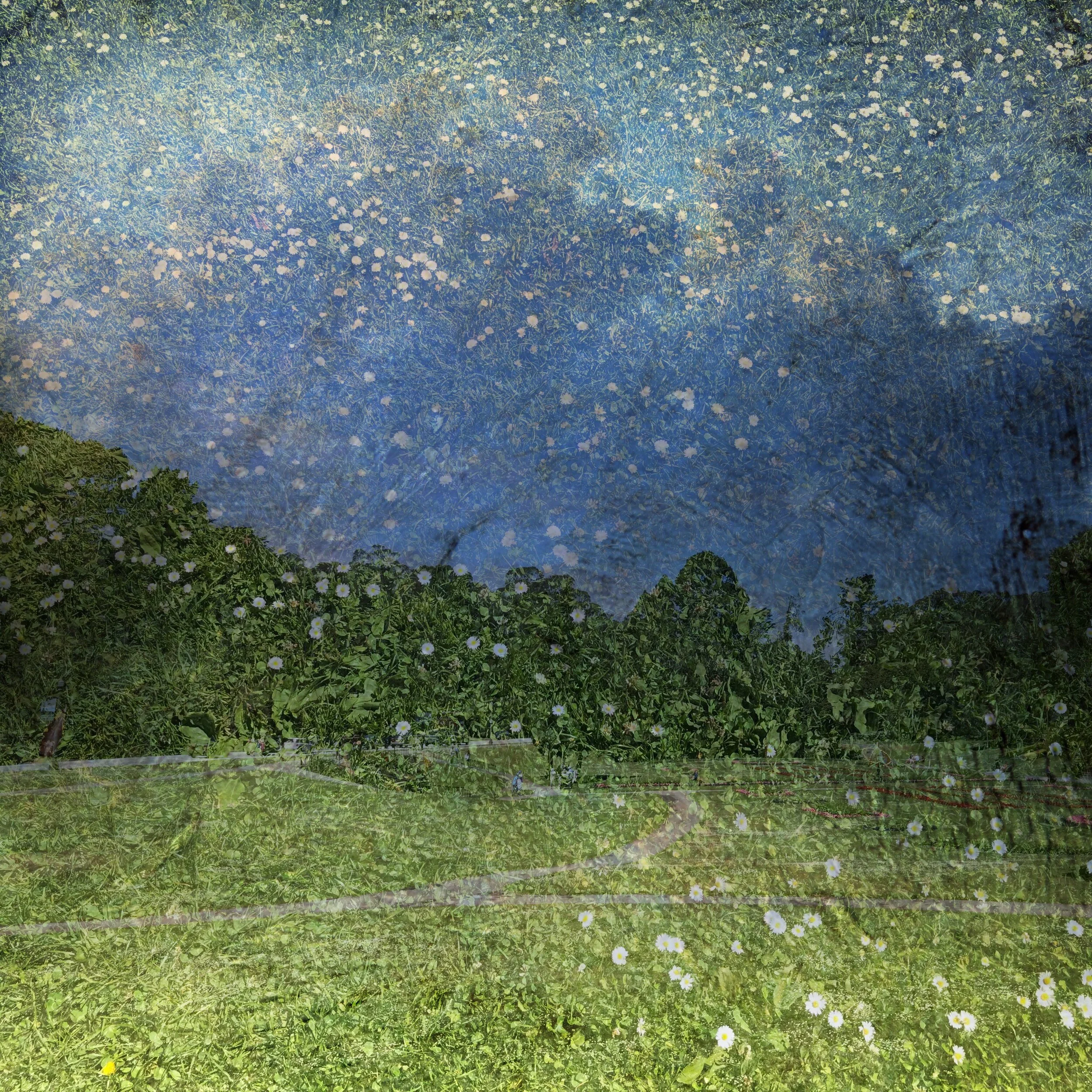 85BBF0F1-A206-439F-8660-D52DB0EB7852.jpeg