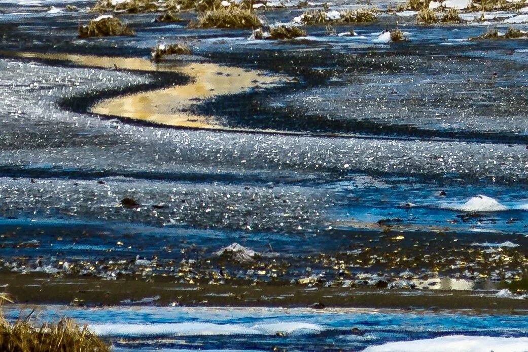 seastream in ice8289-2.jpg