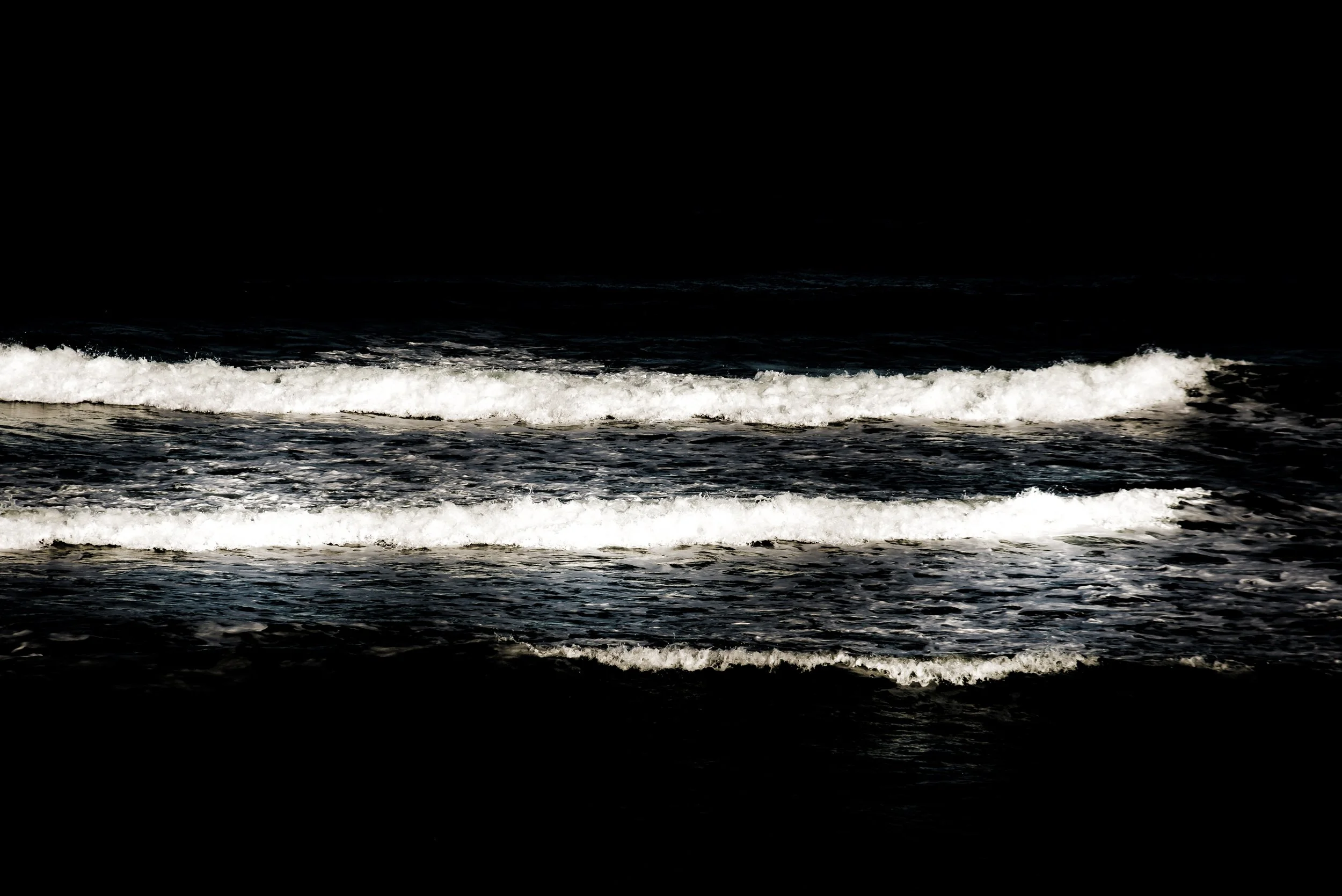 DSC_8336.jpg