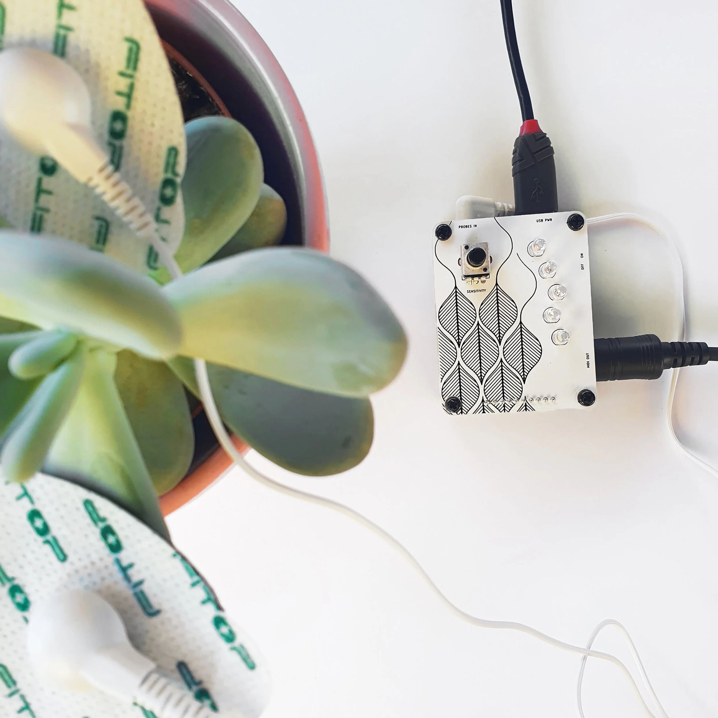 Relationship Between Life Systems and Music [Technology]