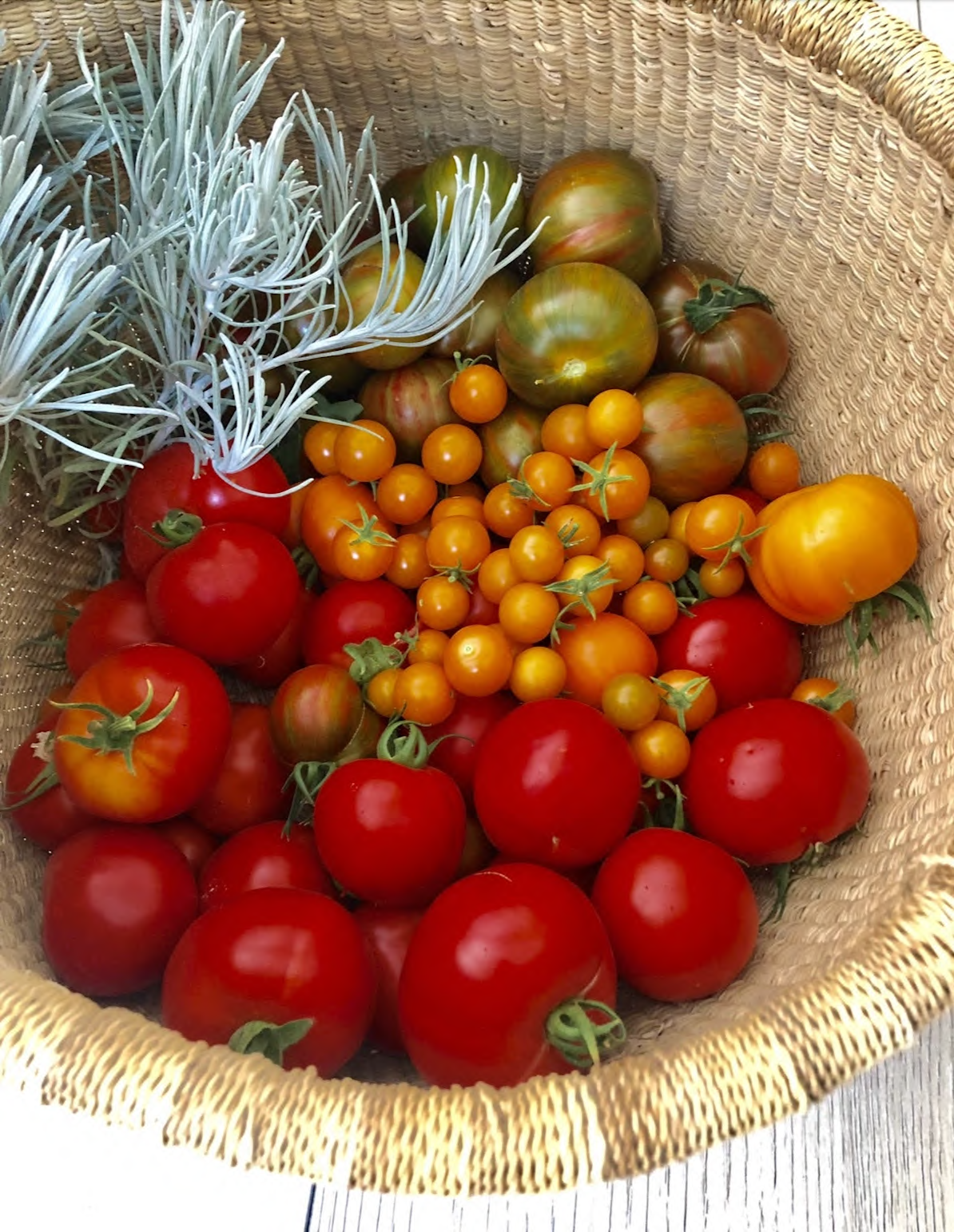 The Frequency and Vibration of Food: How What We Eat Affects Our Health and Well-Being