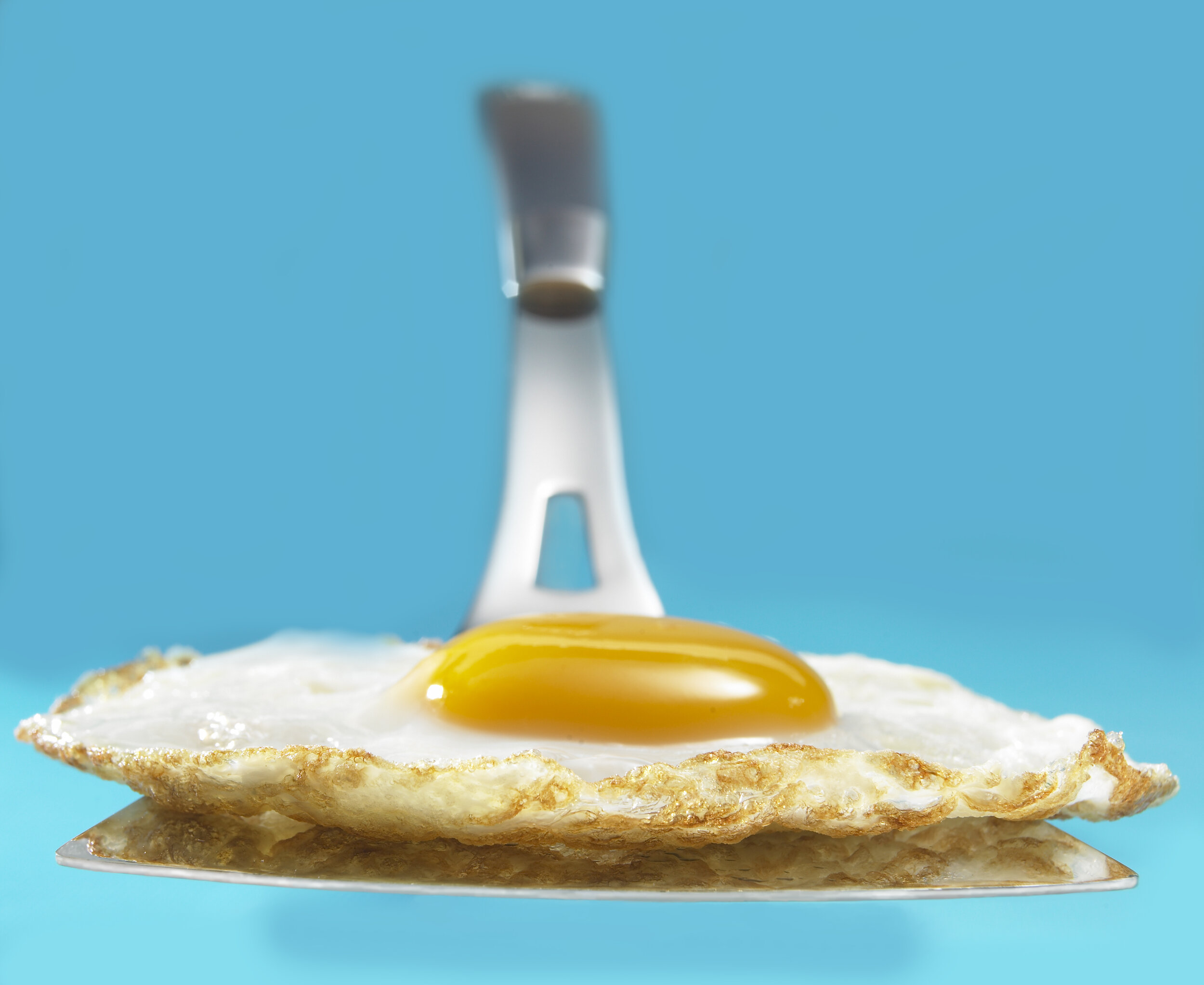 Fried Egg .jpg