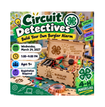 Circuit Detectives: Build Your Own Burglar Alarm