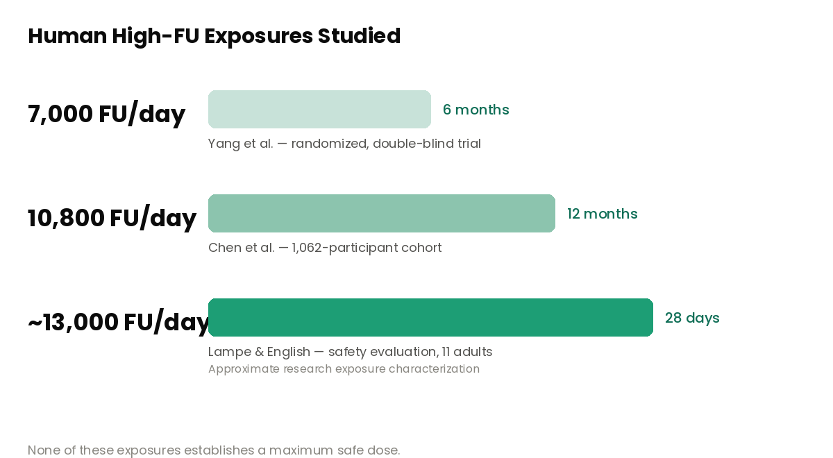Human high-FU nattokinase exposures studied — dose and duration comparison