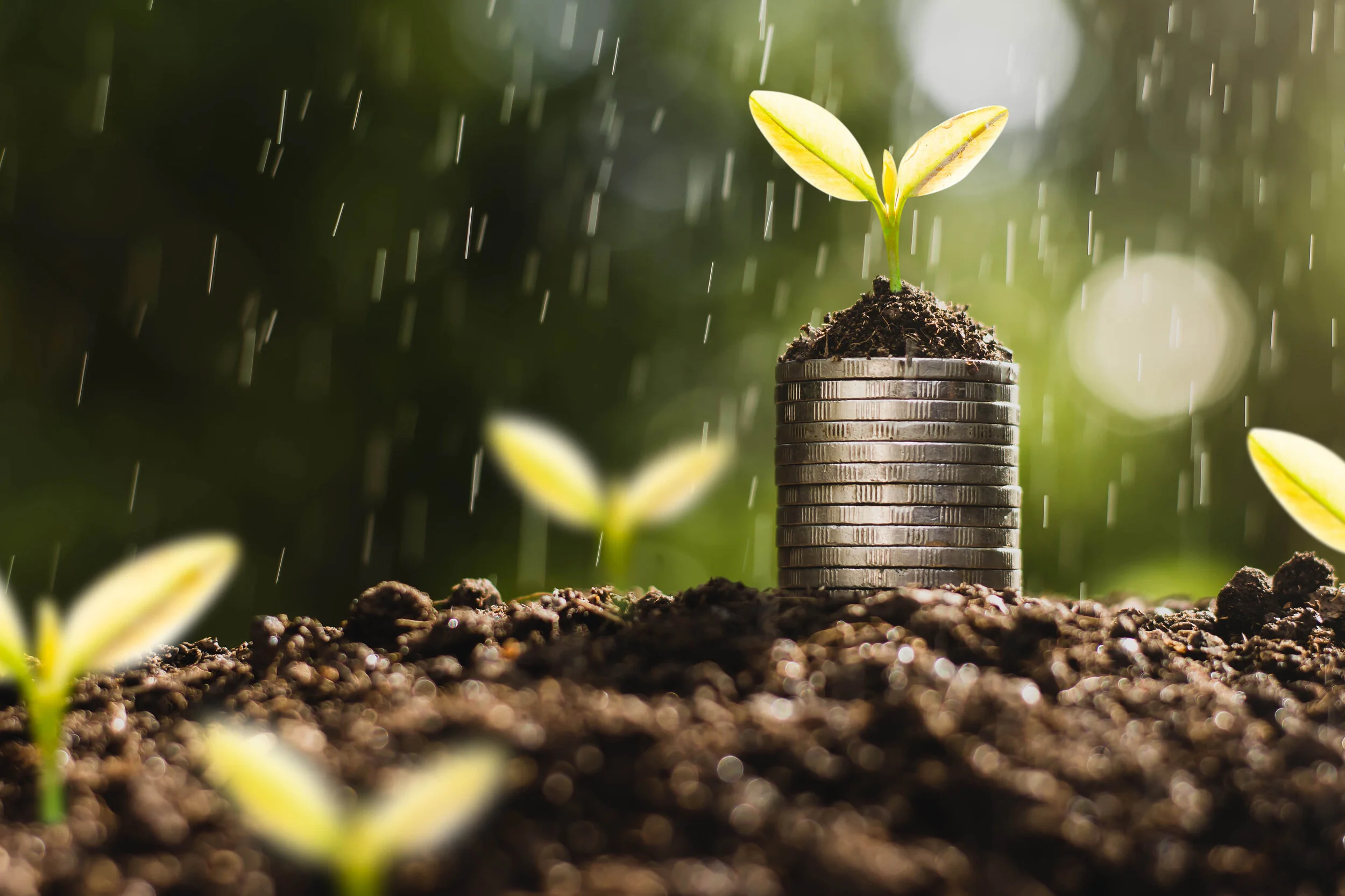 Nutritional Currency  3 Ways to Build Metabolic Wealth Part 3