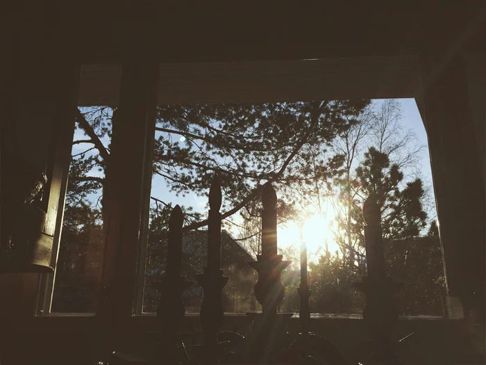 Merirosvoilua { kuokkavieras } 