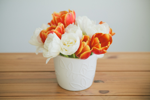 Tulppaanin uudet kasvot