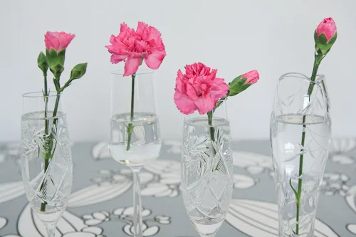 Kangasnarkkarin rakkauskirje Kodin Ykköselle