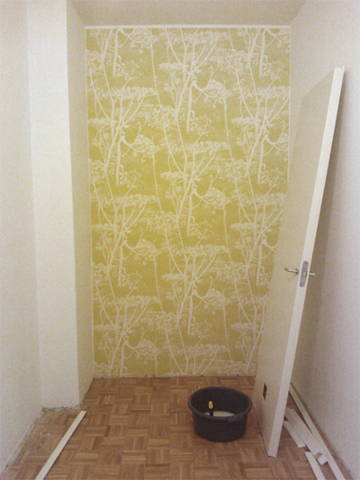 Koiranputkia kaapissa