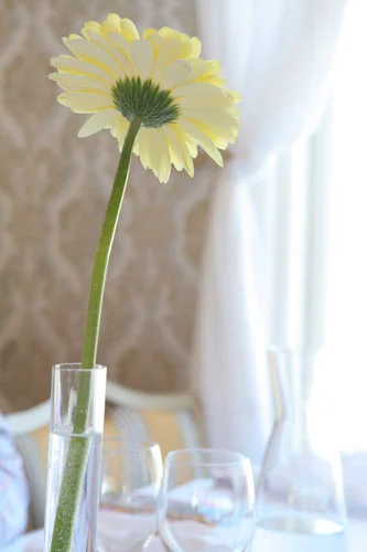 Vappubrunssit Naantalissa