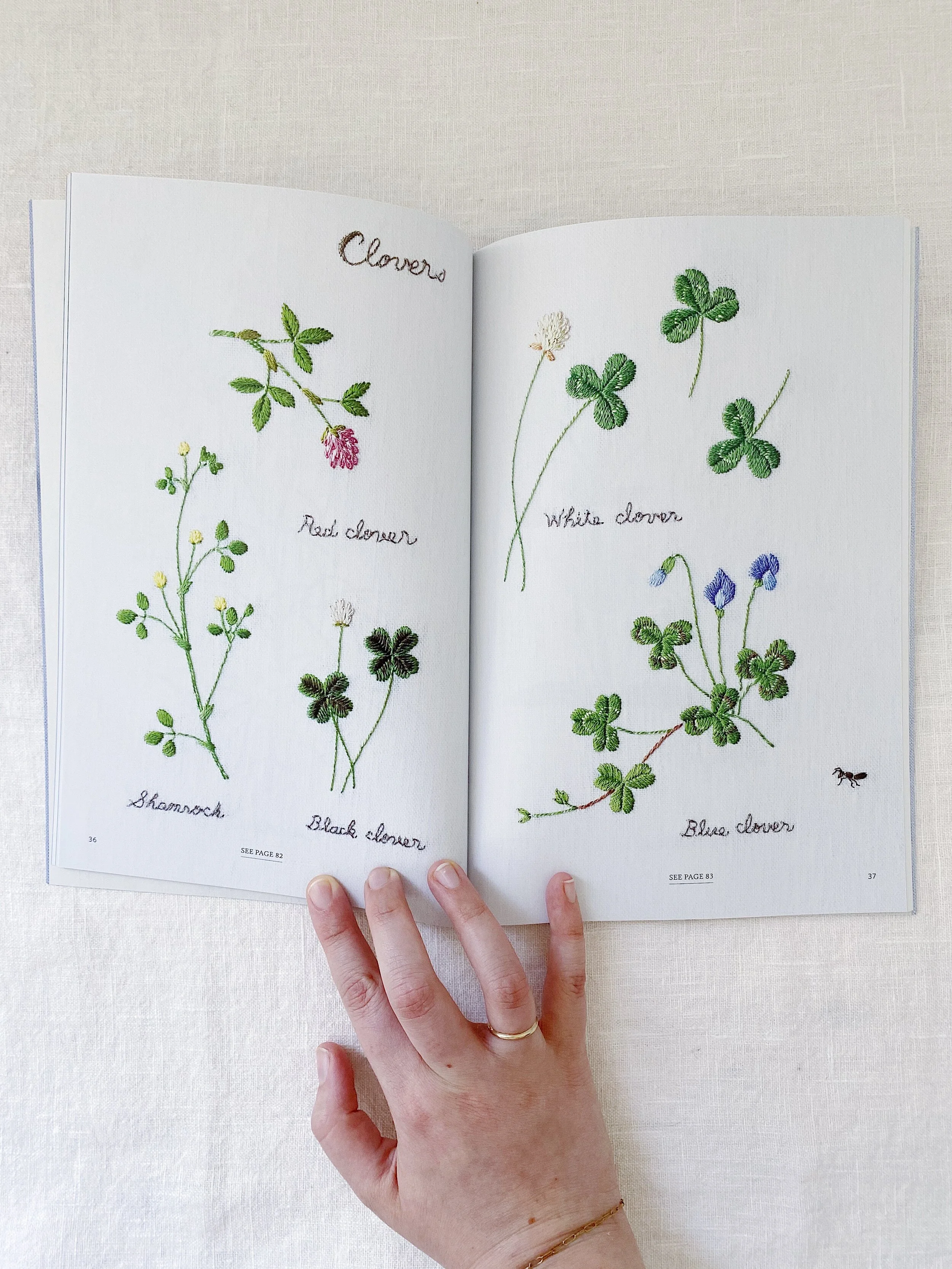 D670BDB1-222D-499C-816A-6EBE99E4E892