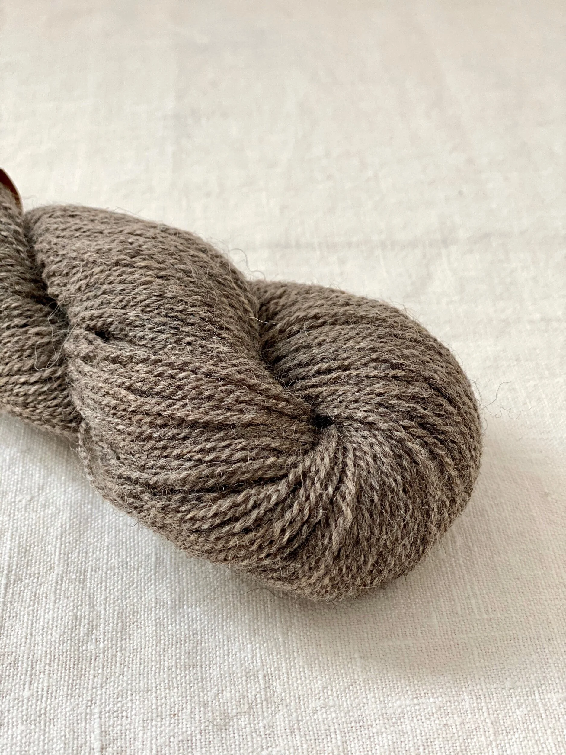 74CD1125-9366-4818-9376-41602F792F10