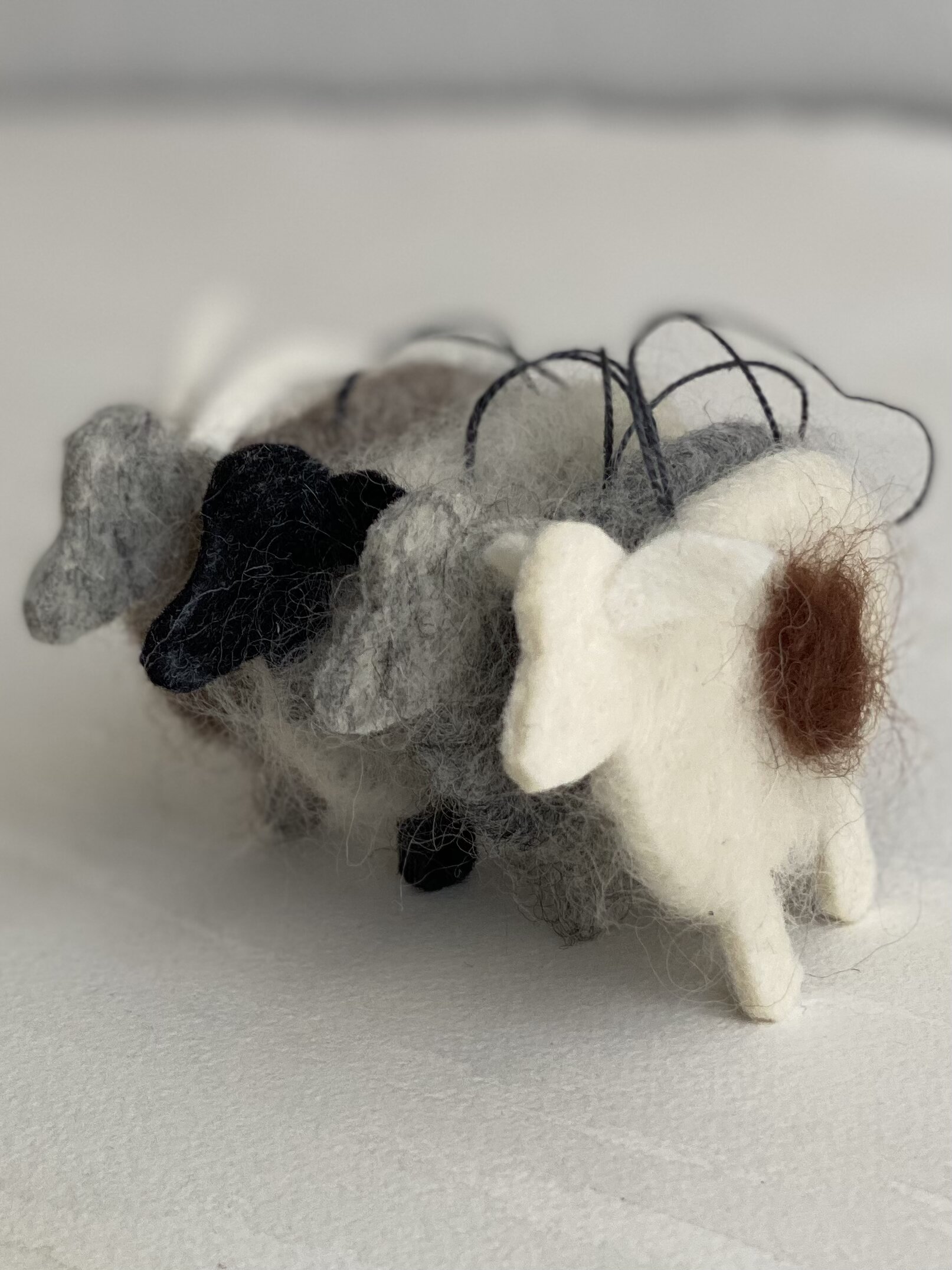 1E9352BF-4B36-4DA4-B908-F2530AC092A7