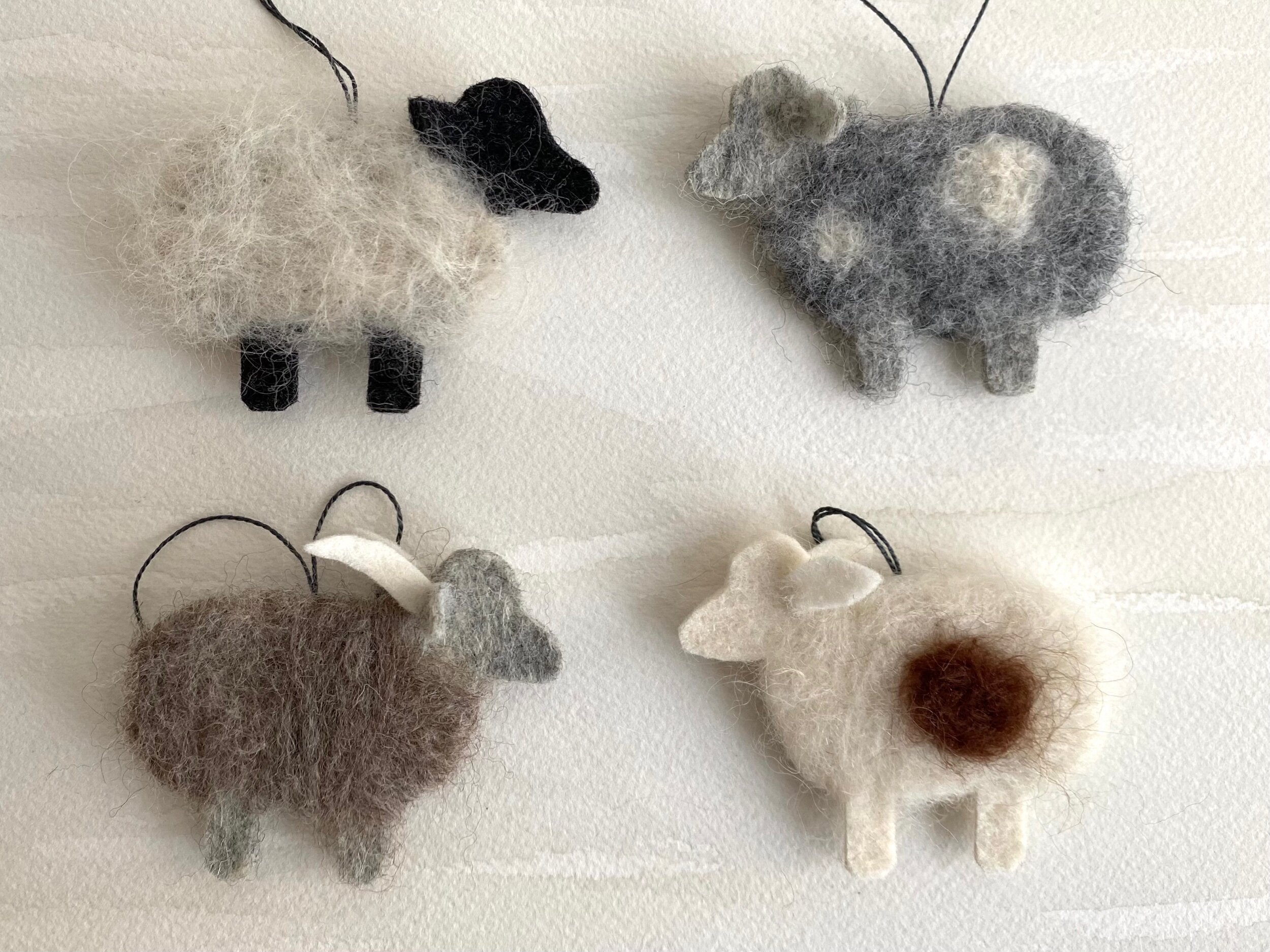 E9EF52B4-26E3-456B-87F2-E58B4E20C59A