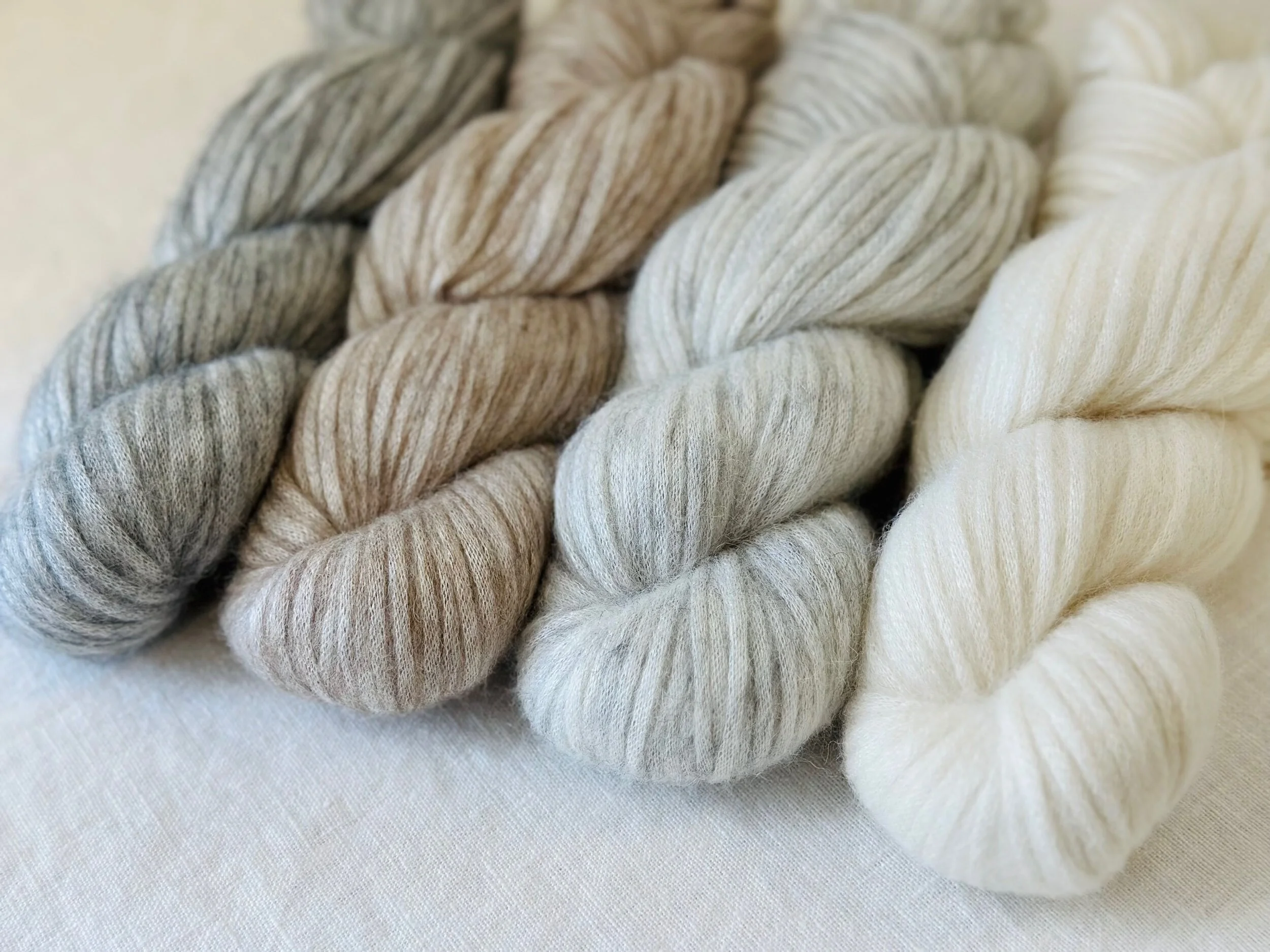 A411CF8B-133A-41E4-AC1C-42C0753C5281