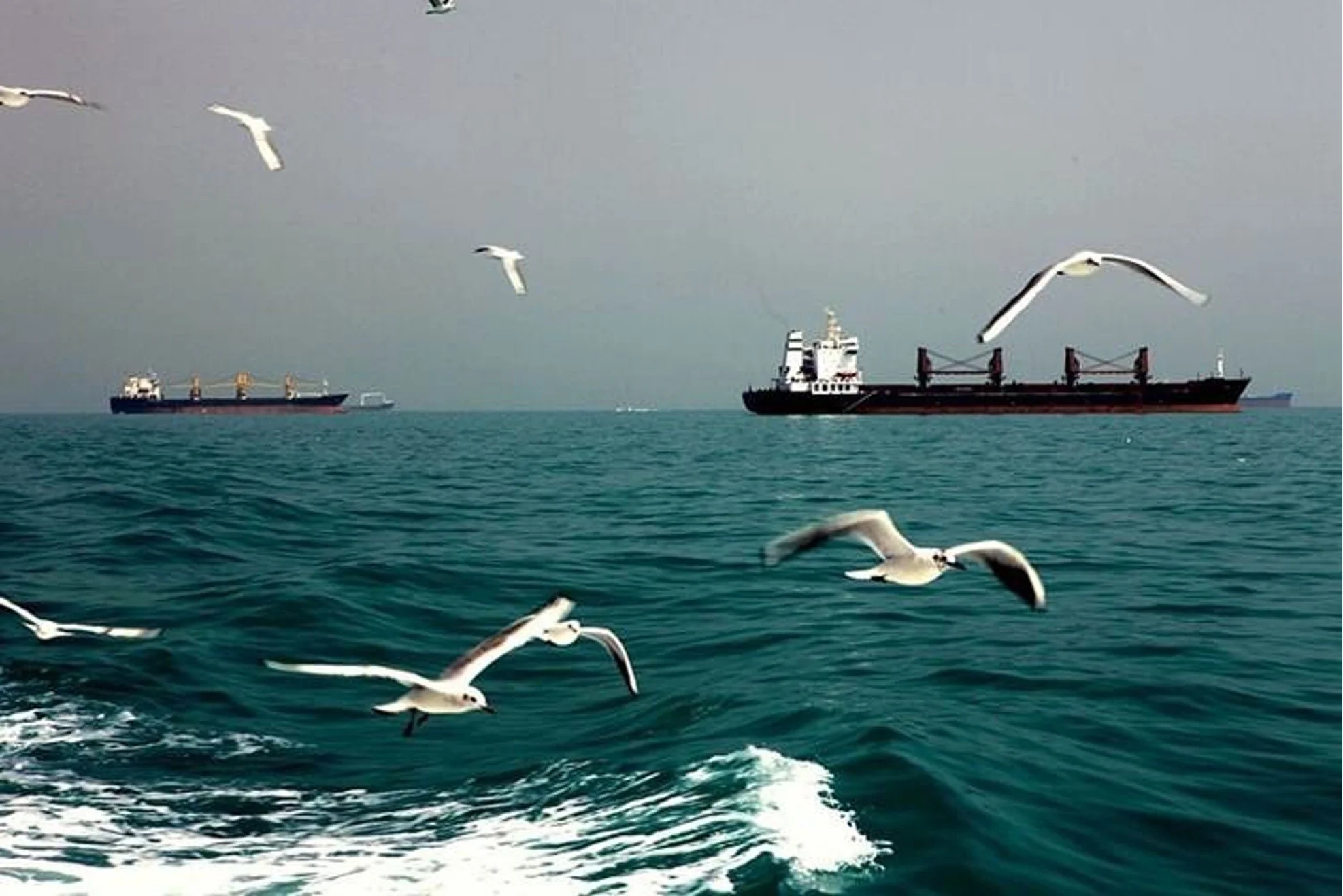 Iran, the Strait of Hormuz, and the Case for Accelerating Energy Transition