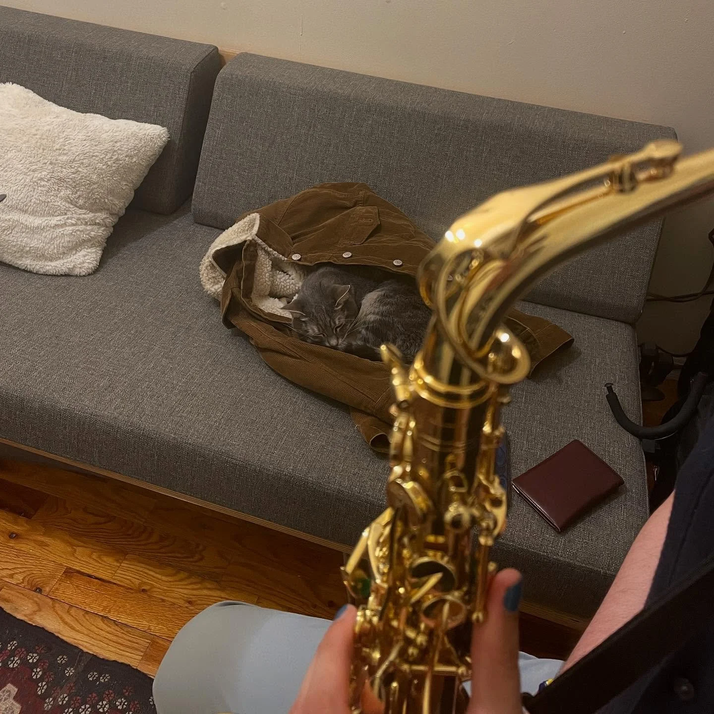 It&rsquo;s important to play in front of an audience during lessons. Luckily, my assistant is always up to step in to assist. 

#clarinet #clarinetteacher #saxophone #saxophonelessons #clarinetlessons #cat #musicstudio #musicschool #nyc #musiclessons