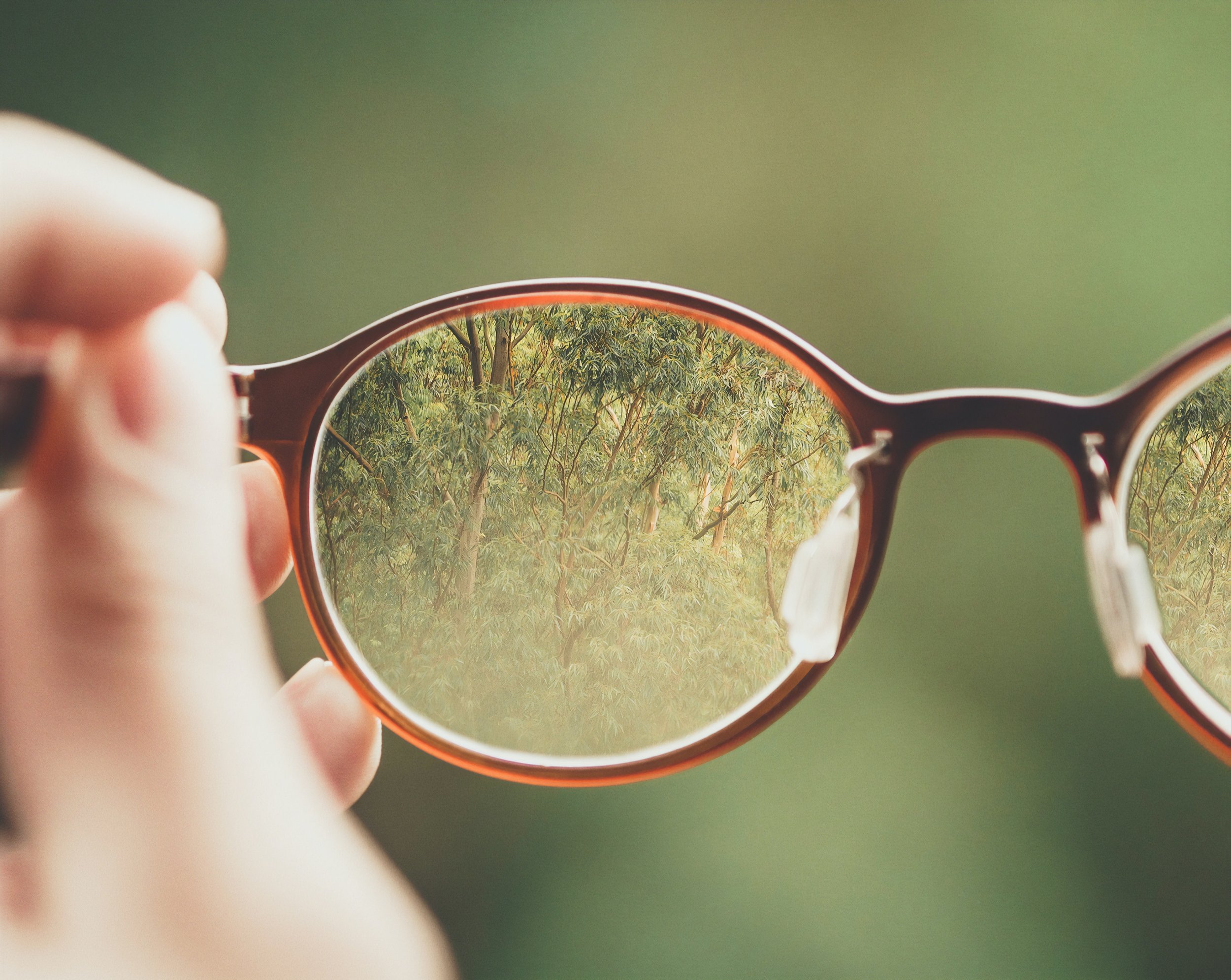 writing novel in present tense Through the lens of a pair of glasses, the details of the trees beyond become clear.