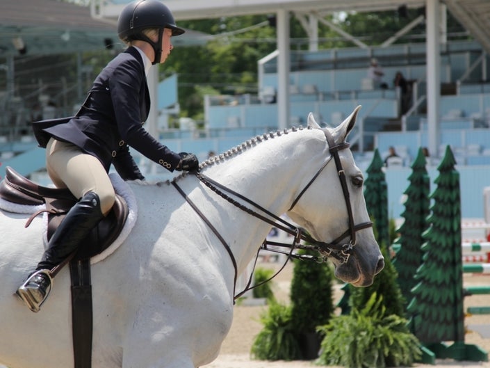 The Devon Horse Show: 123rd Show Preview