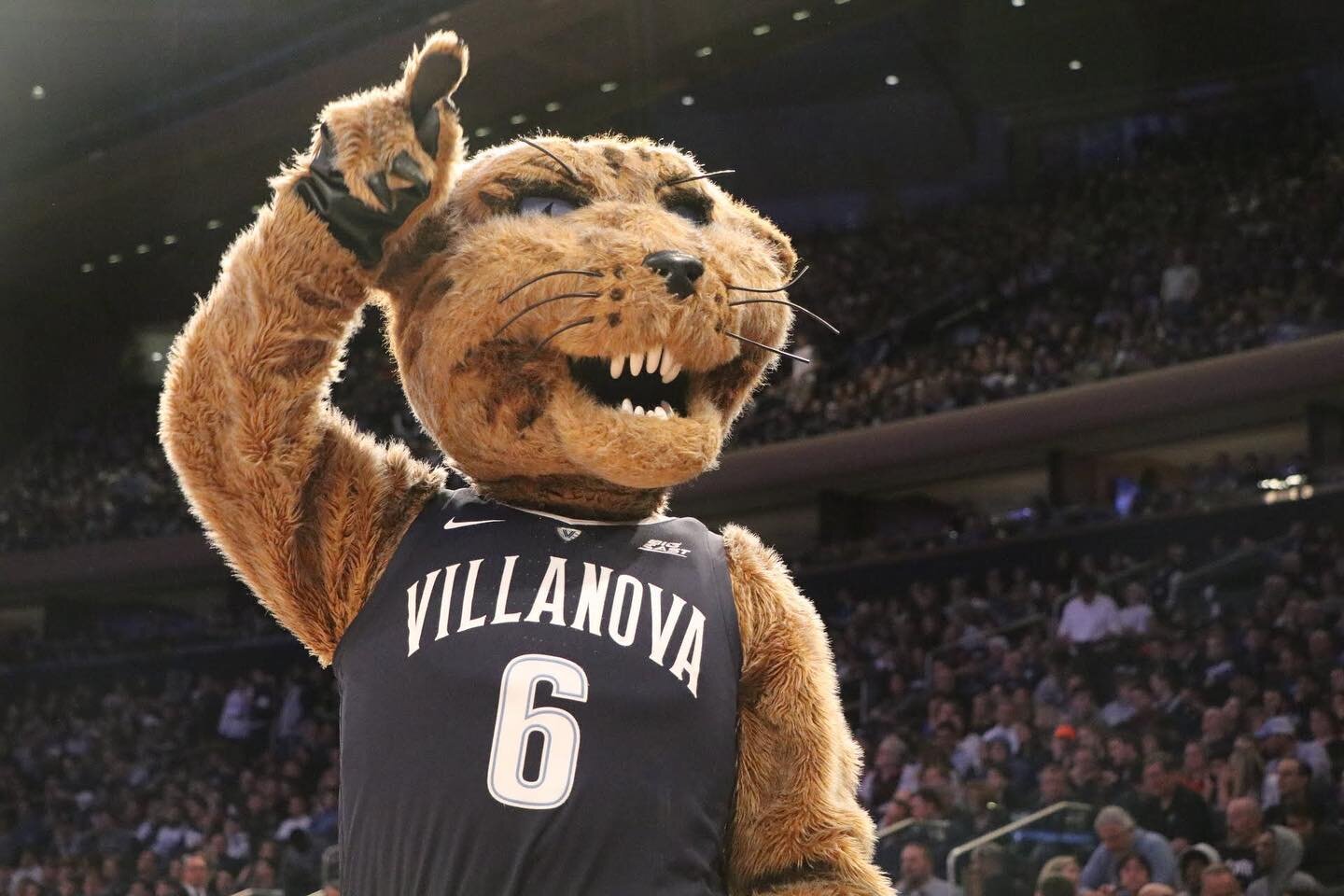 Wishing the happiest #NationalMascotDay to our favorite mascot, @willdcatvu 🐈