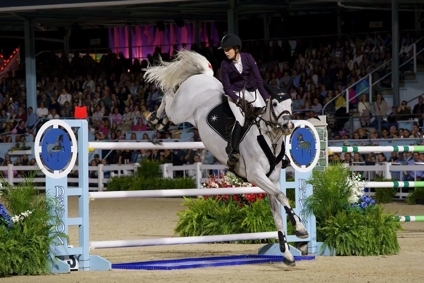 Historic Triumphs and Sweeping Victories Highlight the 2026 Devon Horse Show