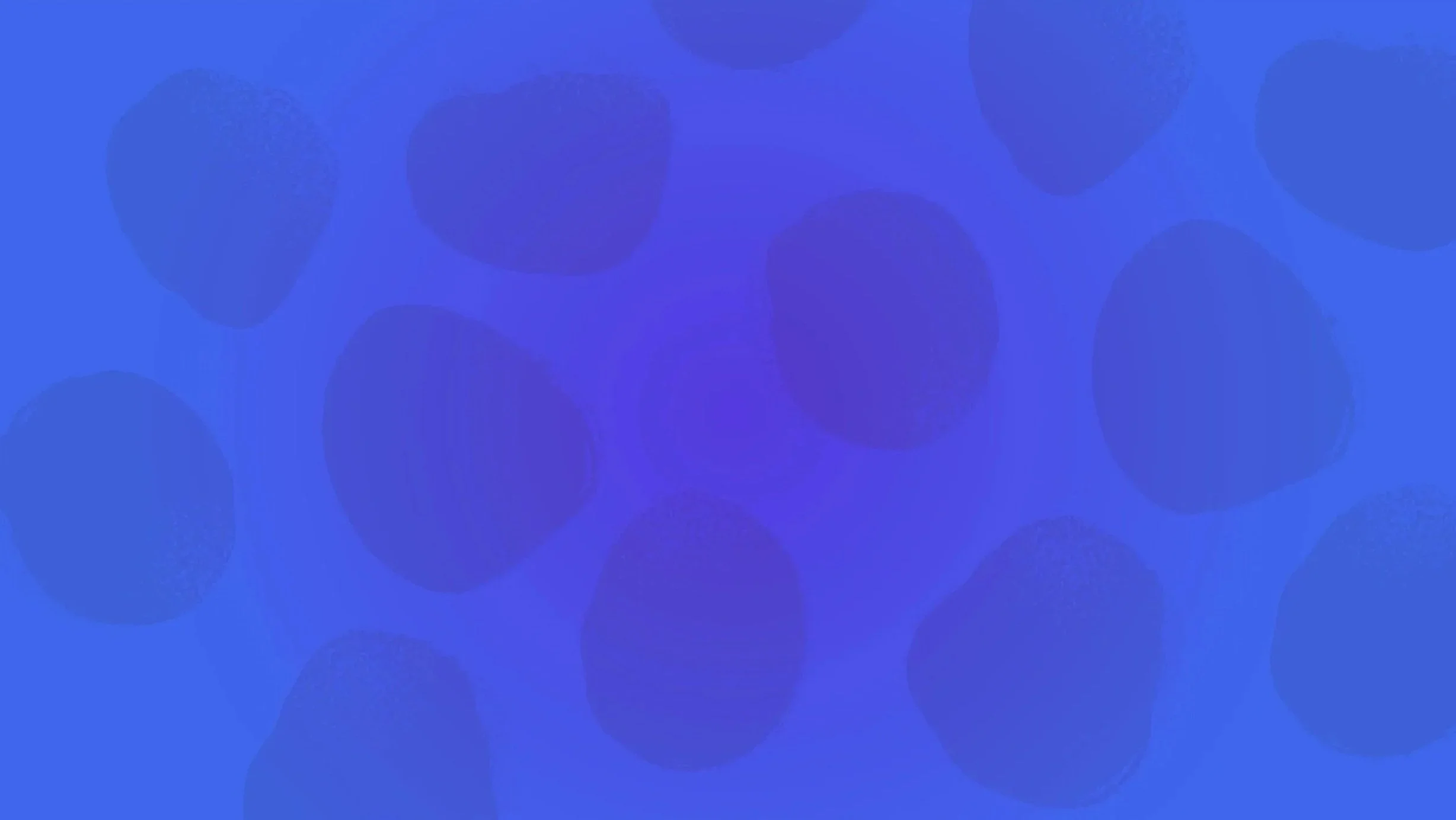 Asset 4@300x-100.jpg