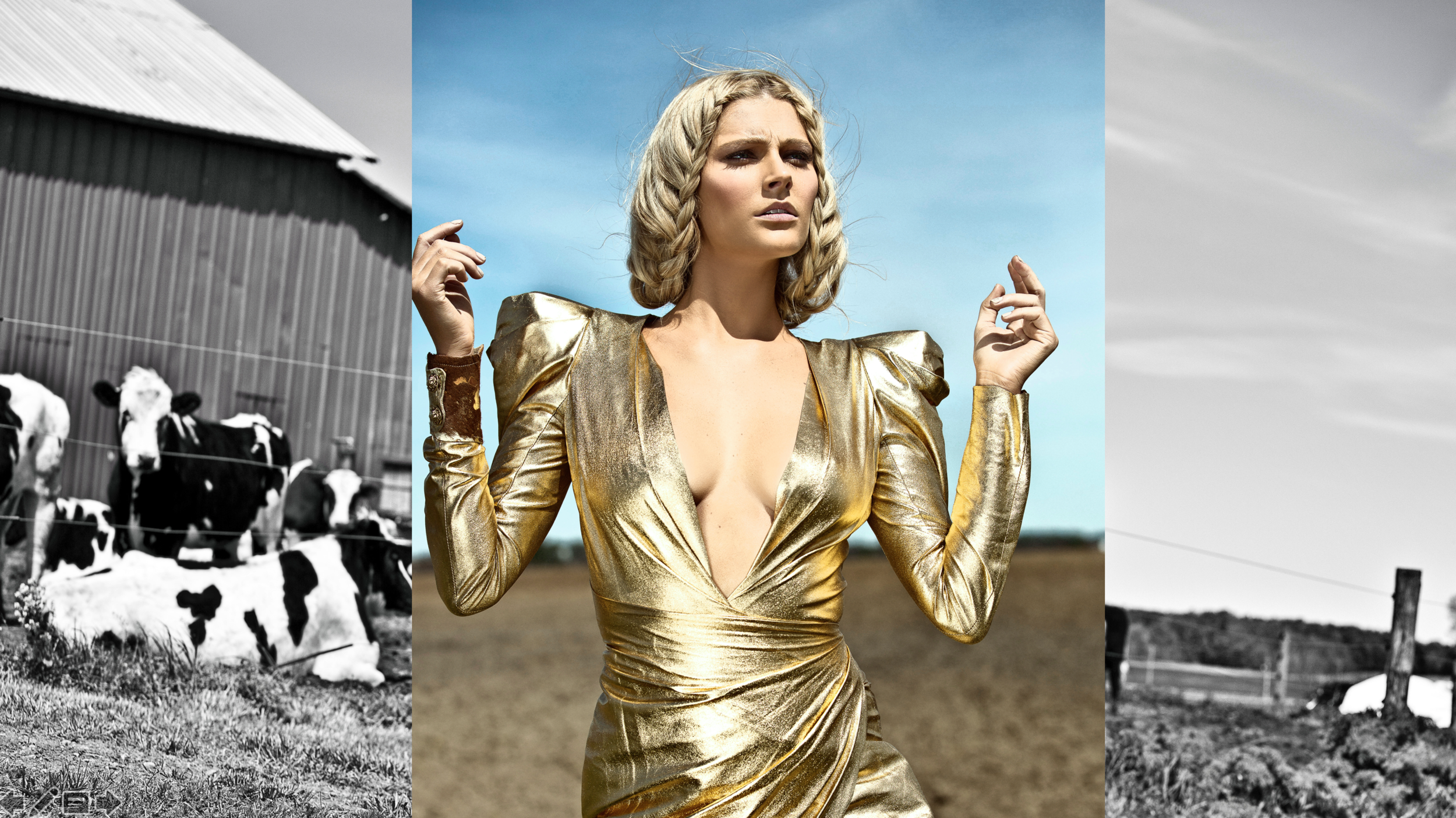 Screen Shot 2019-09-26 at 12.57.06 AM.png