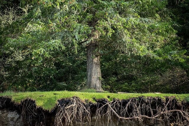 Thank you Mother Earth for the beauty we have seen today.
.
.
.
.