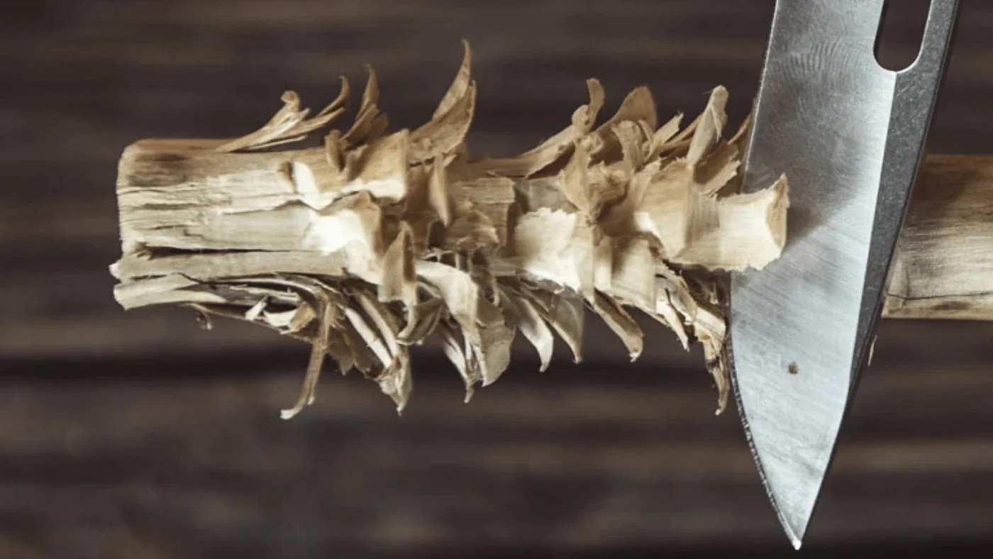 Feather Sticks and Fir Tips with Wild Wanderers