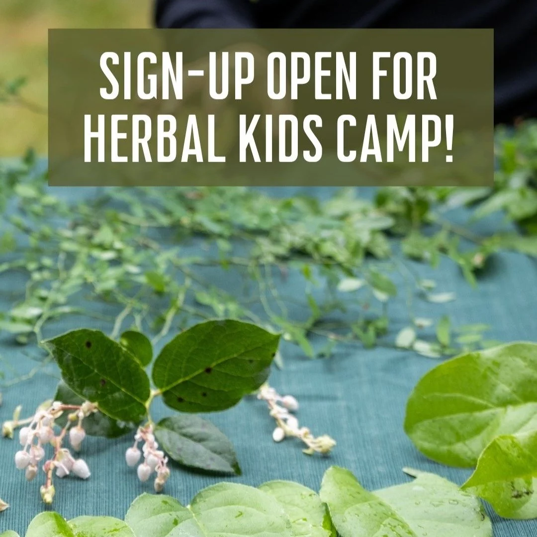 🌱 Spots are available in Herbal Kids Camp 2 NEXT WEEK (July 28-Aug 1)! 🌱
In this farm and forest adventure we&rsquo;ll learn the secret language of plants and discover their healing power. We&rsquo;ll make fairy feasts, forest folk remedies, flower