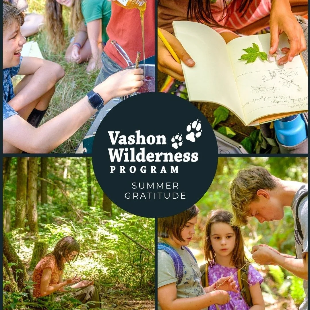 💐 We share deep gratitude to all of our amazing staff, young mentors, families, and community members who made VWP Summer Camps possible. The young mentors generosity provided over 264 hours of volunteer support for summer camps! Amazing! 💐

Specia