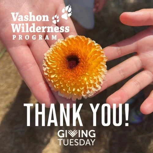 Thank you to our GivingTuesday donors!
There&rsquo;s still time to support VWP&rsquo;s Annual Giving Campaign via our website and help us reach even more children with meaningful nature connection. Every gift makes a difference. We&rsquo;re so gratef