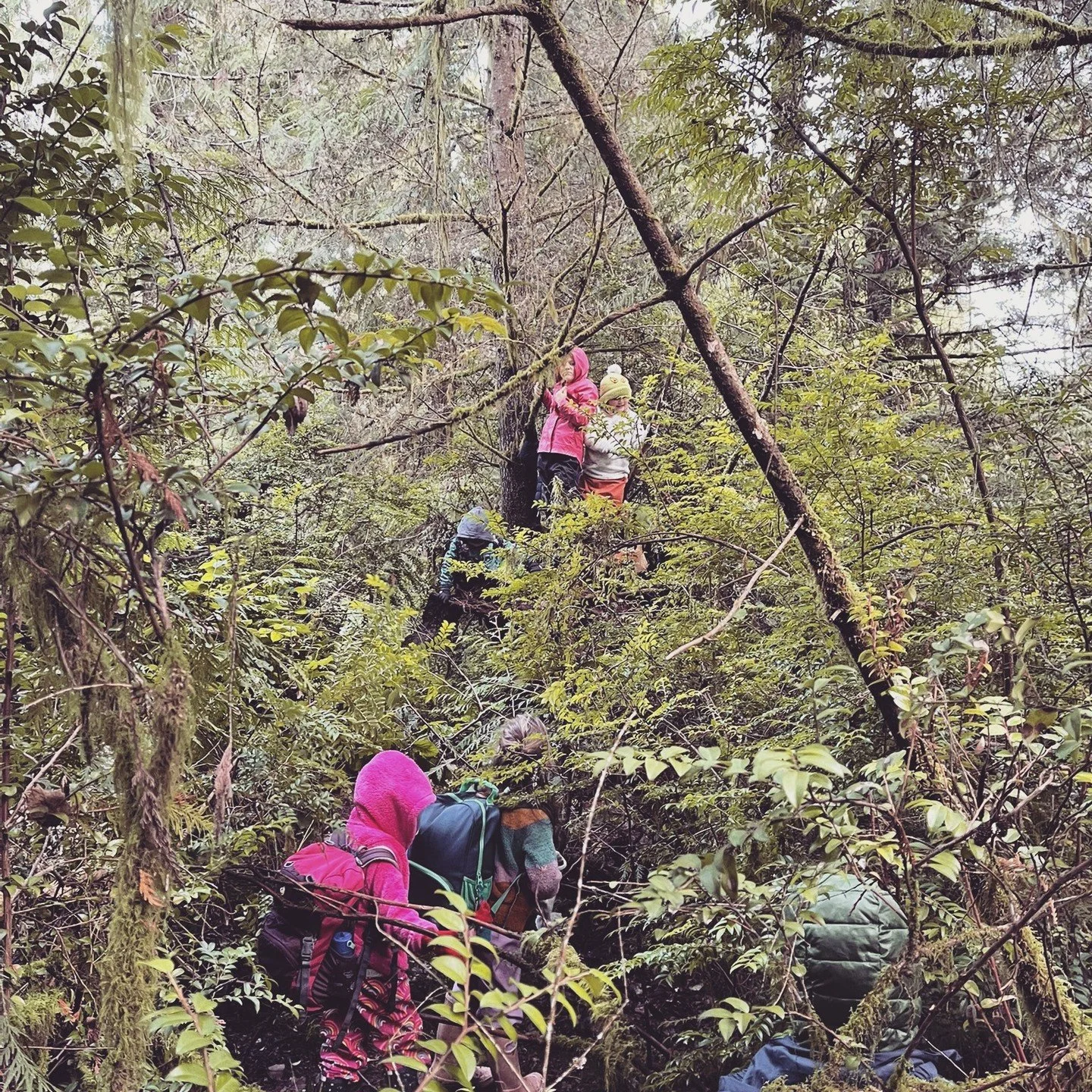 How many little Wind Gatherers can you spot? 🌬️🌲
On Friday afternoons, our 4&ndash;6 year olds wander off trail, climb small slopes, and build secret spaces tucked among salal and huckleberry.
Unstructured play. Deep focus. Big imagination.

#Natur