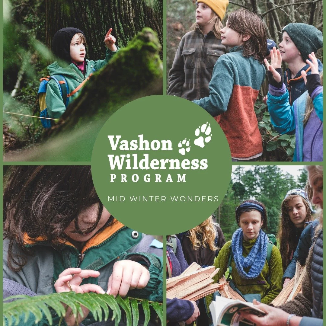 ✨ Our Mid Winter Wonders Newsletter is LIVE! ✨
and it&rsquo;s full of nature inspiration, program updates, and winter-time highlights from Vashon Wilderness Program! 🌲✨

Inside you&rsquo;ll find:
🌿 Summer Camp Registration is Live!
📅 Early Bird Ti
