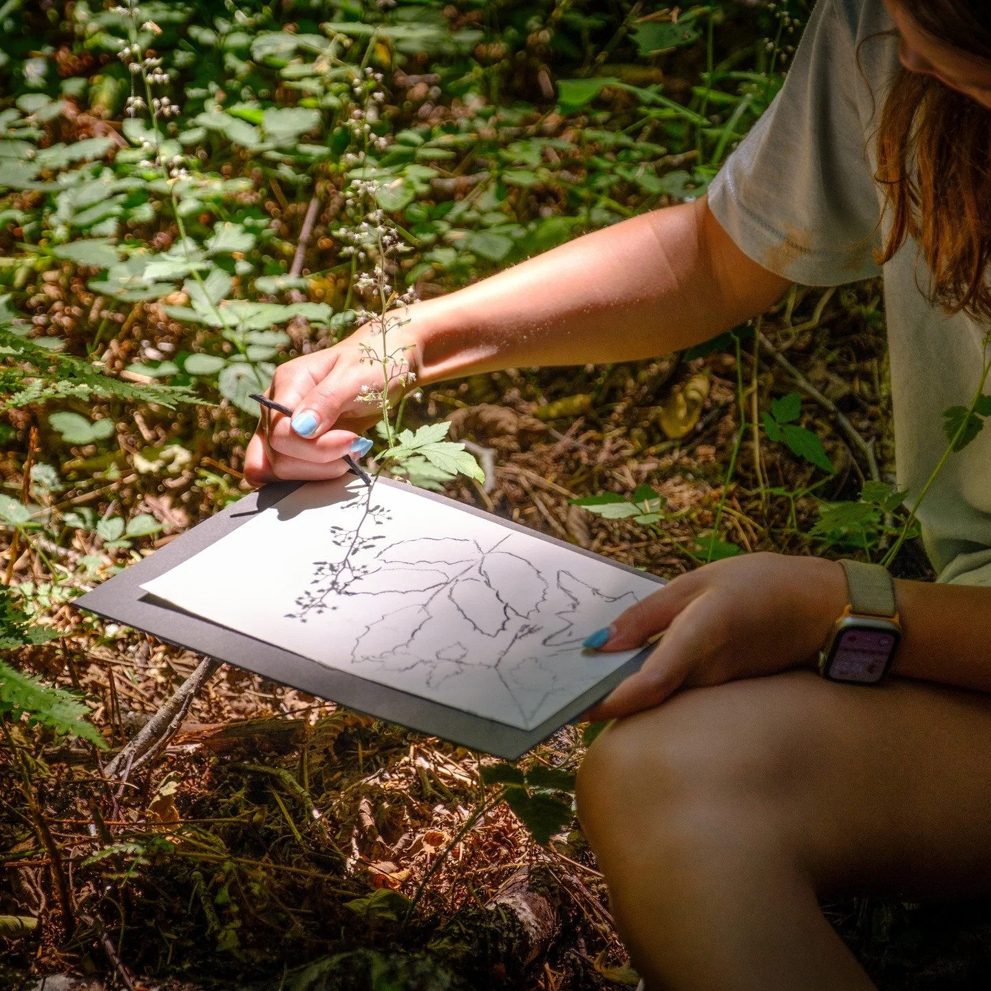 🎨🌿 Wild art. Forest adventures. Creative magic. ✨

Our art themed Summer Camps at Vashon Wilderness Program blend hands-on art, outdoor exploration, and big imagination in the beauty of Vashon.

Think trail wanders, natural materials, storytelling,