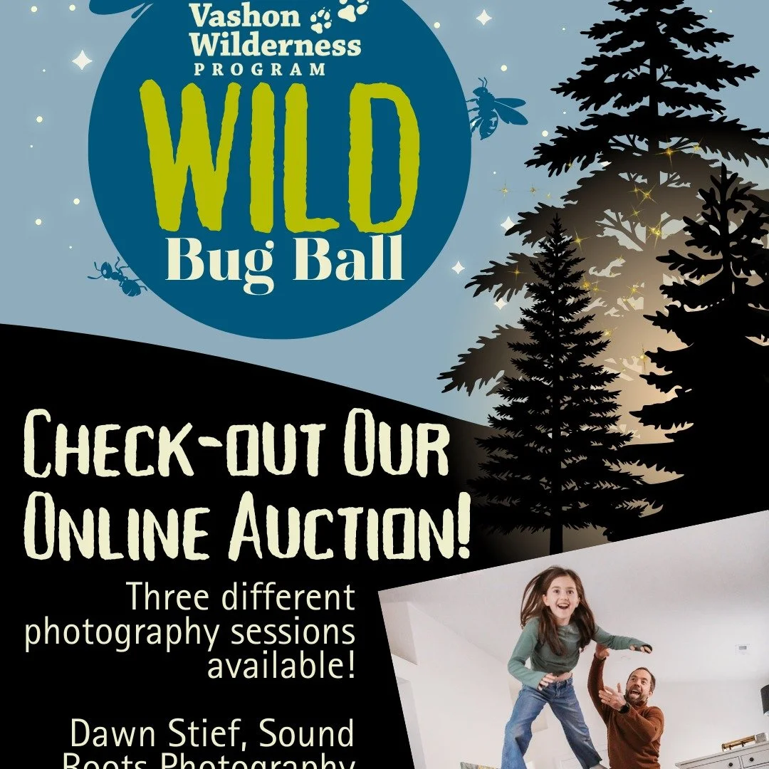 3 different photography sessions available in the VWP Wild online auction! Bid now to capture your story with fantastic local photographers! 📸 @1body1lens @rocketkarstudios @soundrootsphotography Thank you!