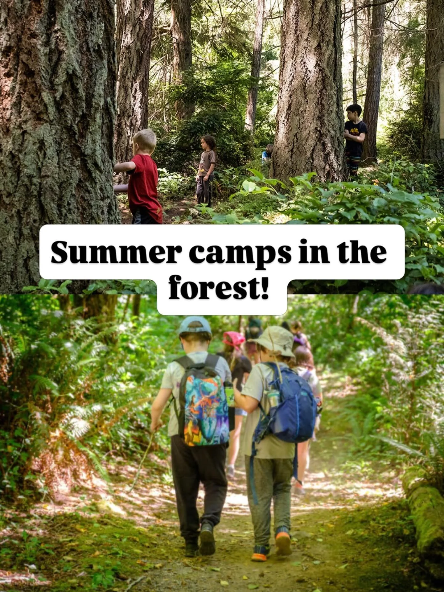 🌿 Thanks to @seattleschildmag for featuring Vashon Wilderness Program&rsquo;s Summer Camps for ages 4-15!

We&rsquo;re excited to welcome kids to Vashon Island and West Seattle for a summer of forest adventures, beach exploration, games, and creativ