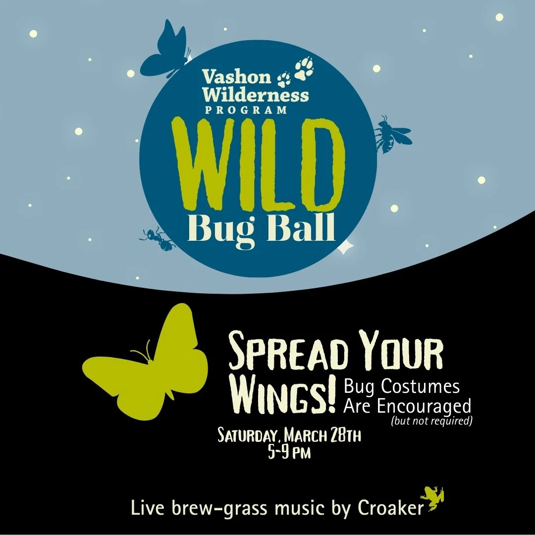 VWP Wild Bug Ball Guests 🐞✨

Get ready to spread your wings on March 28th! Bug costumes are encouraged (but not required)&hellip;will you be the buzz of the party? The bees knees? 🐝 Looking fly? 🪰 Just wing'n it? Or something delightfully unexpect