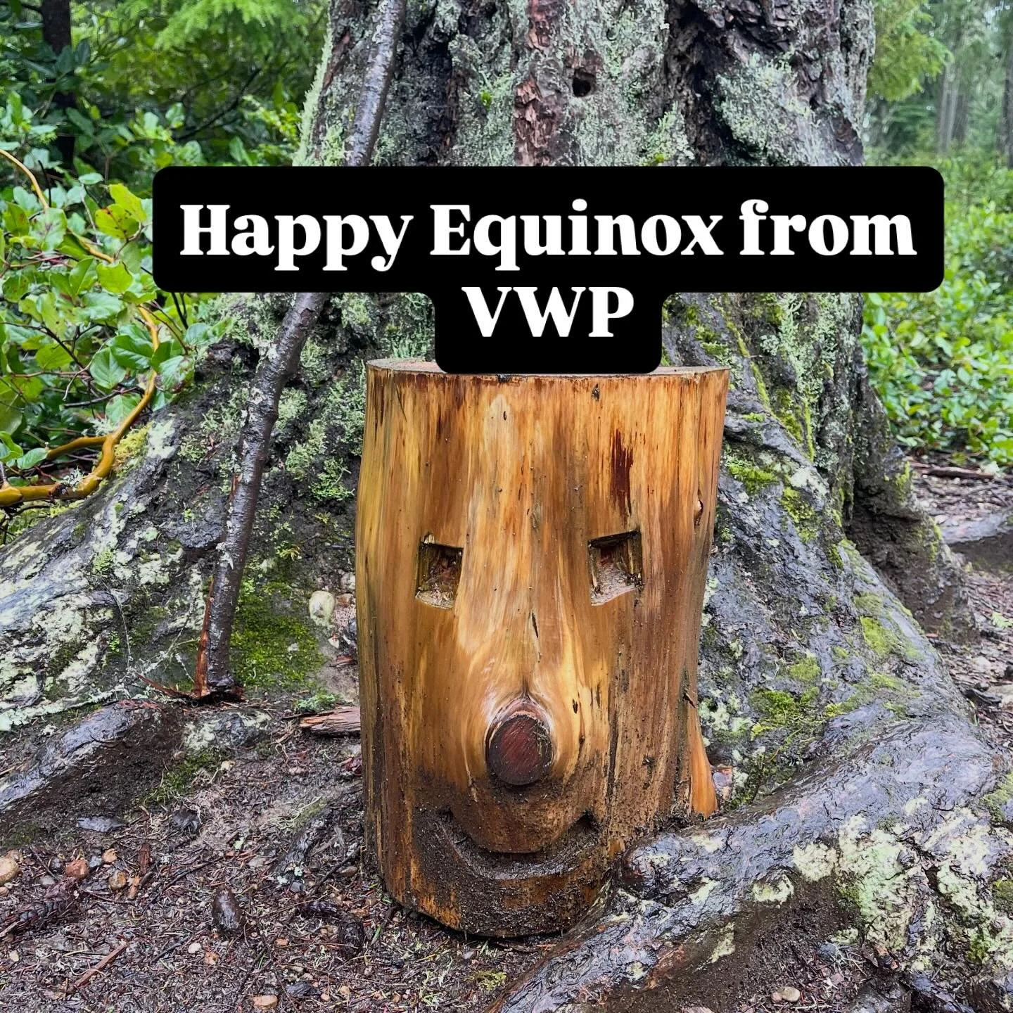 Even the stumps are smiling around here!