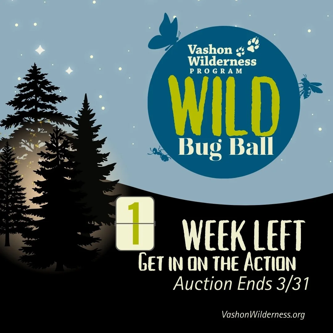 Our Vashon Wilderness Program Auction has 1 more week! Every bid helps get more youth outside, learning, growing, and thriving in nature 🌲

Don&rsquo;t miss your chance to snag some amazing experiences:
⛵ Sailing adventure
🎭 Opera tickets
🏟️ Marin