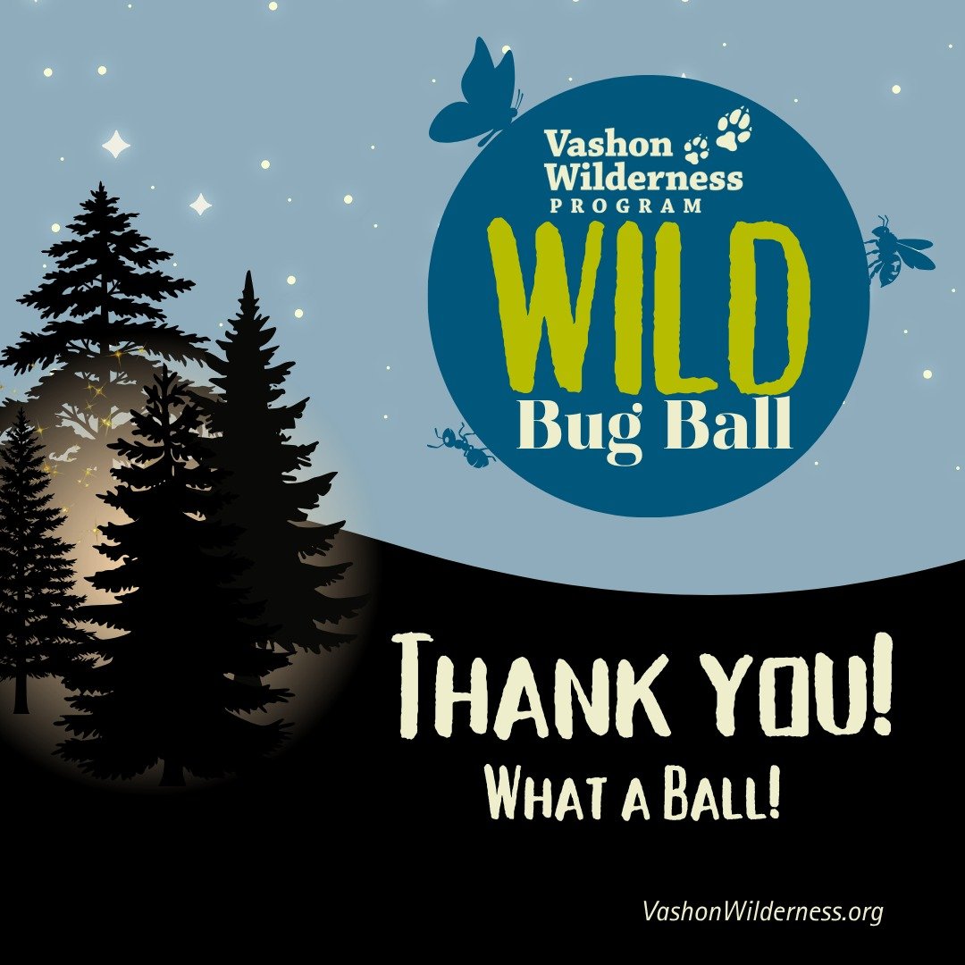 Thank you to everyone who joined us for such a fun and lively Wild Bug Ball last night&mdash;we loved celebrating with you! 🐞✨

Attendees will receive a link to photos taken by the amazing Dawn Stief @1body1lens &amp; the selfie-booth in the coming 