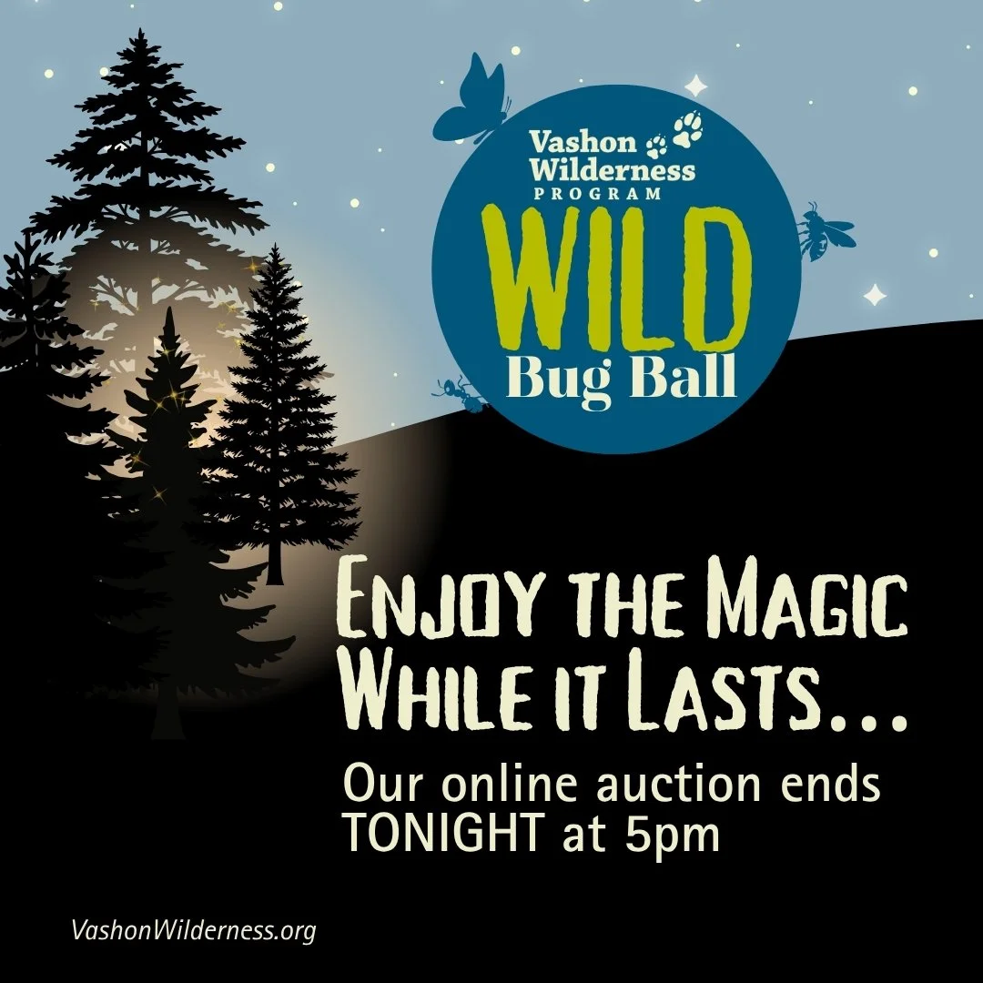 ✨ Still no bids&hellip; which means opportunity ✨

There are items are waiting for someone to claim them, and every bid supports Wild education scholarships 🌿

From a teepee stay on Vashon to whale watching, art, and photography sessions, there&rsqu