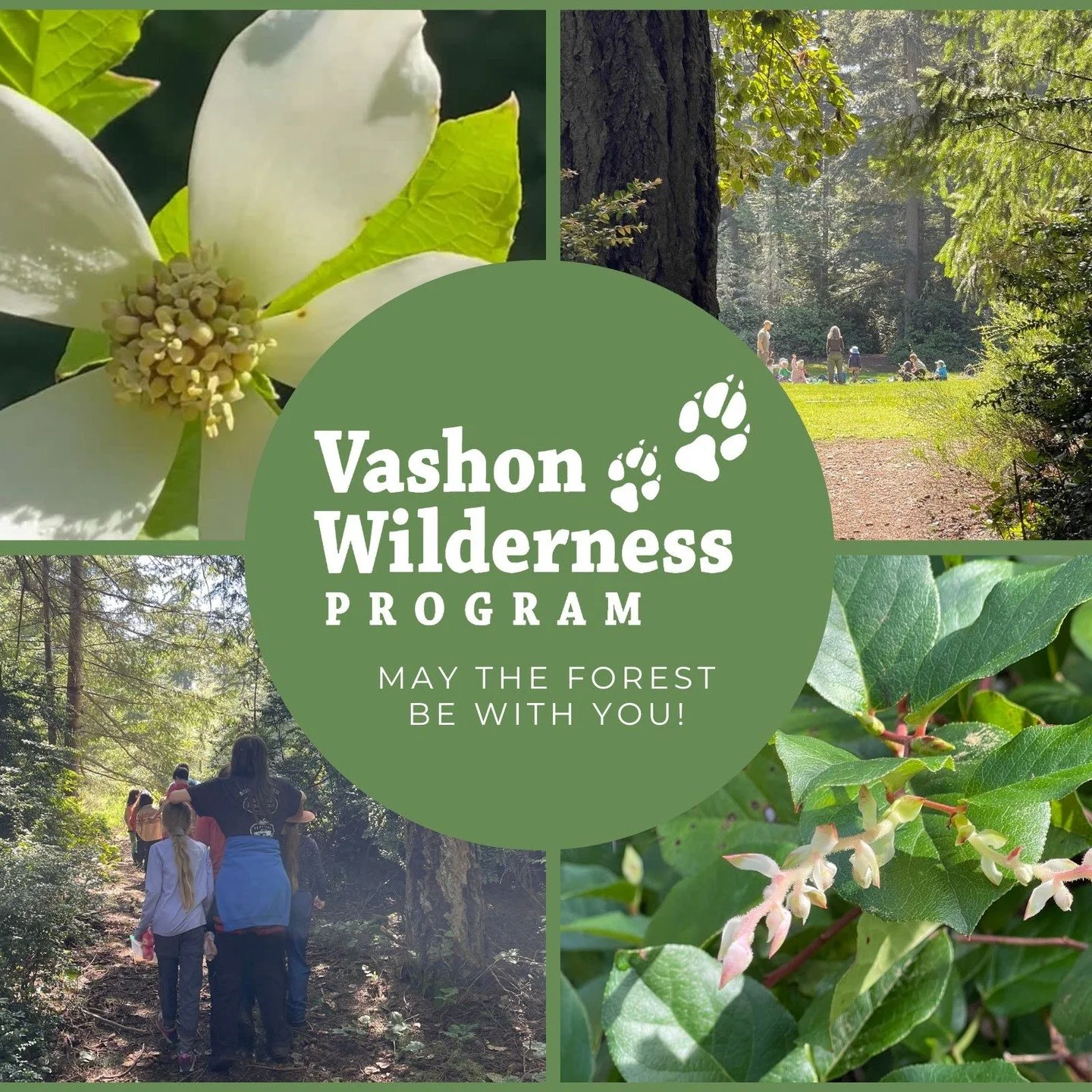 🌲✨ **May the Forest Be With You!** ✨🌲
Our latest Vashon Wilderness Program newsletter is here, and it&rsquo;s full of magic, momentum, and meaningful ways to connect with the natural world.

🌿 **What&rsquo;s inside this month:**
&bull; 2026-2027 E