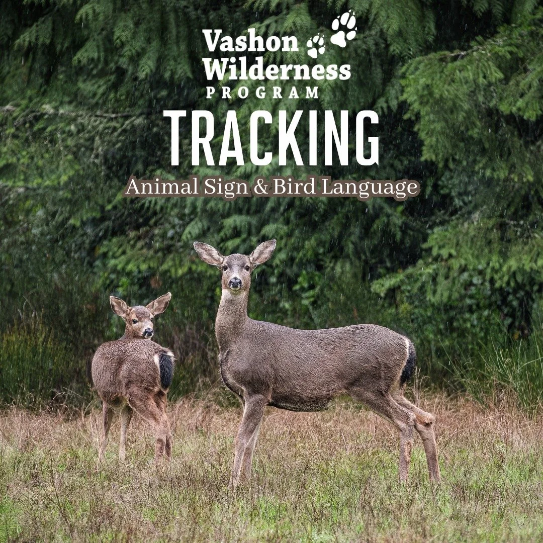 Step into the hidden conversations of the forest 🌿🦉🐾

Join VWP Mentor Anthony Latora for *Tracking: Animal Signs &amp; Bird Language* on **Sunday, May 17th** on beautiful Vashon Island. This immersive day-long workshop will help you tune your sens