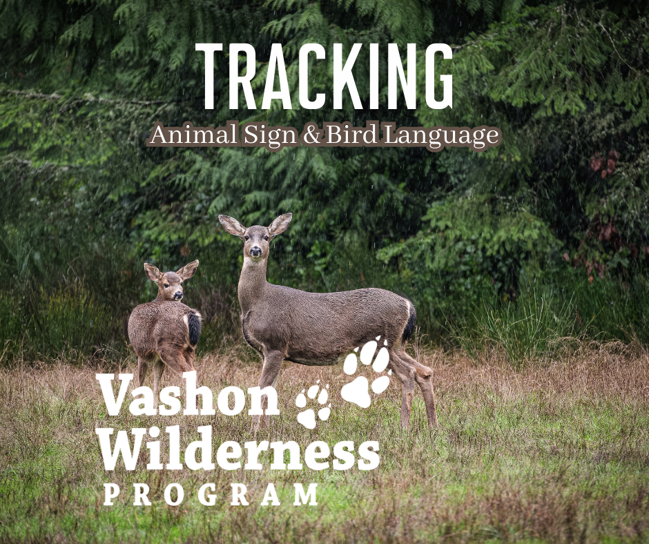 2026 Adult Workshop Images (7).png