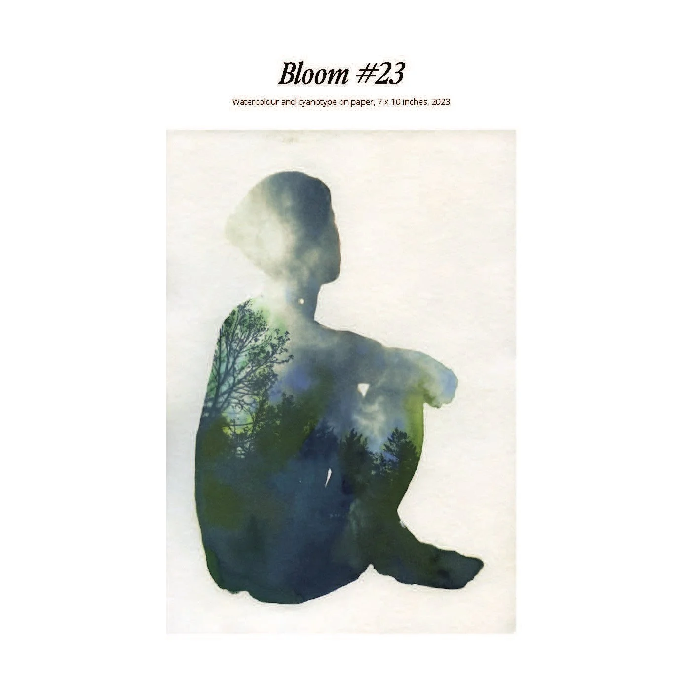 Whitagram-Image (1).jpg