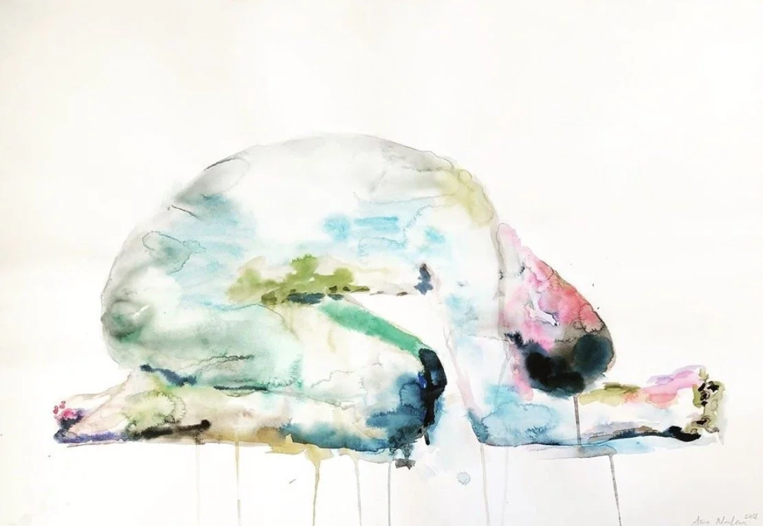  Watercolour on paper, 2018  25 x 38 inch 